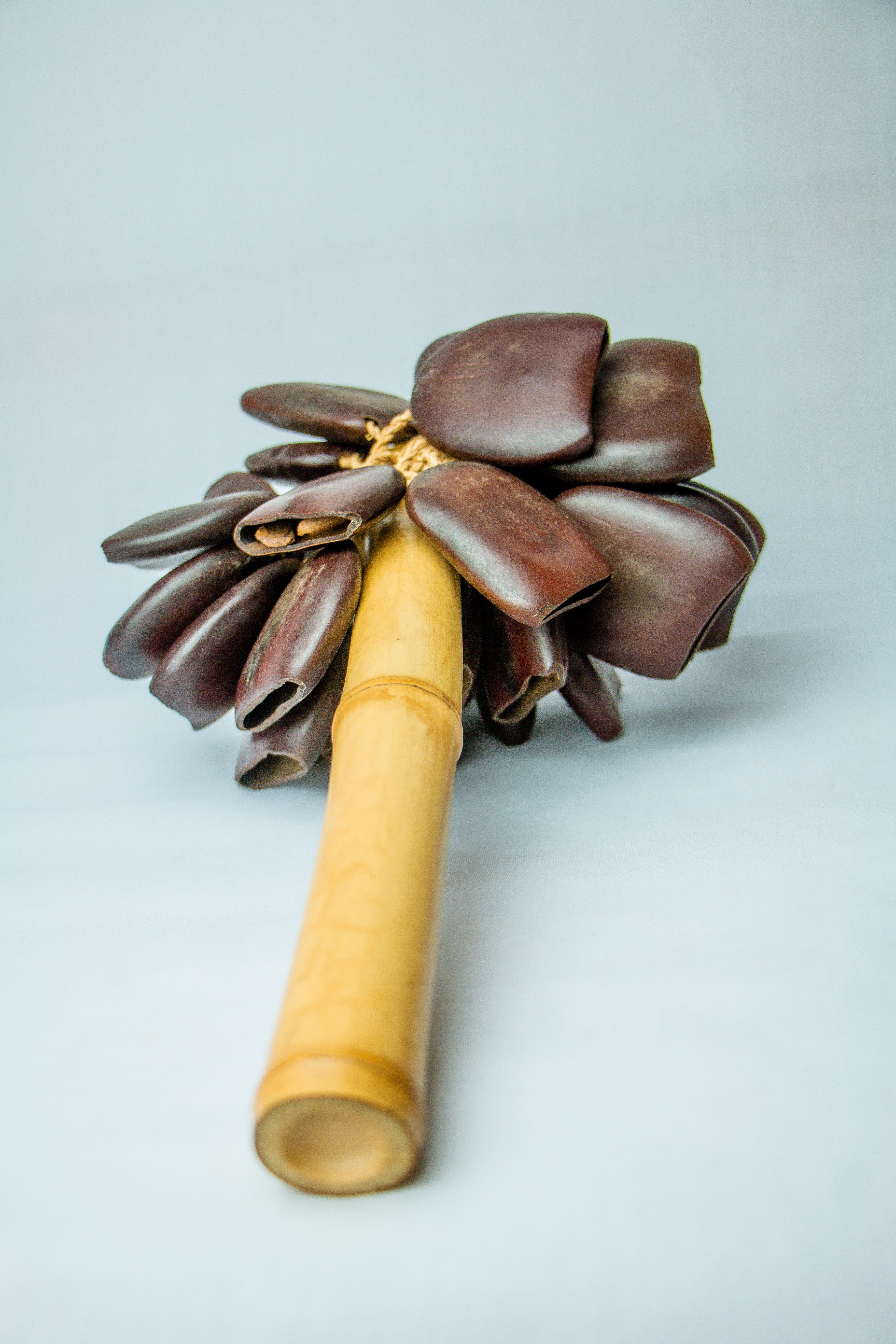 Lucky seed shaker instrument