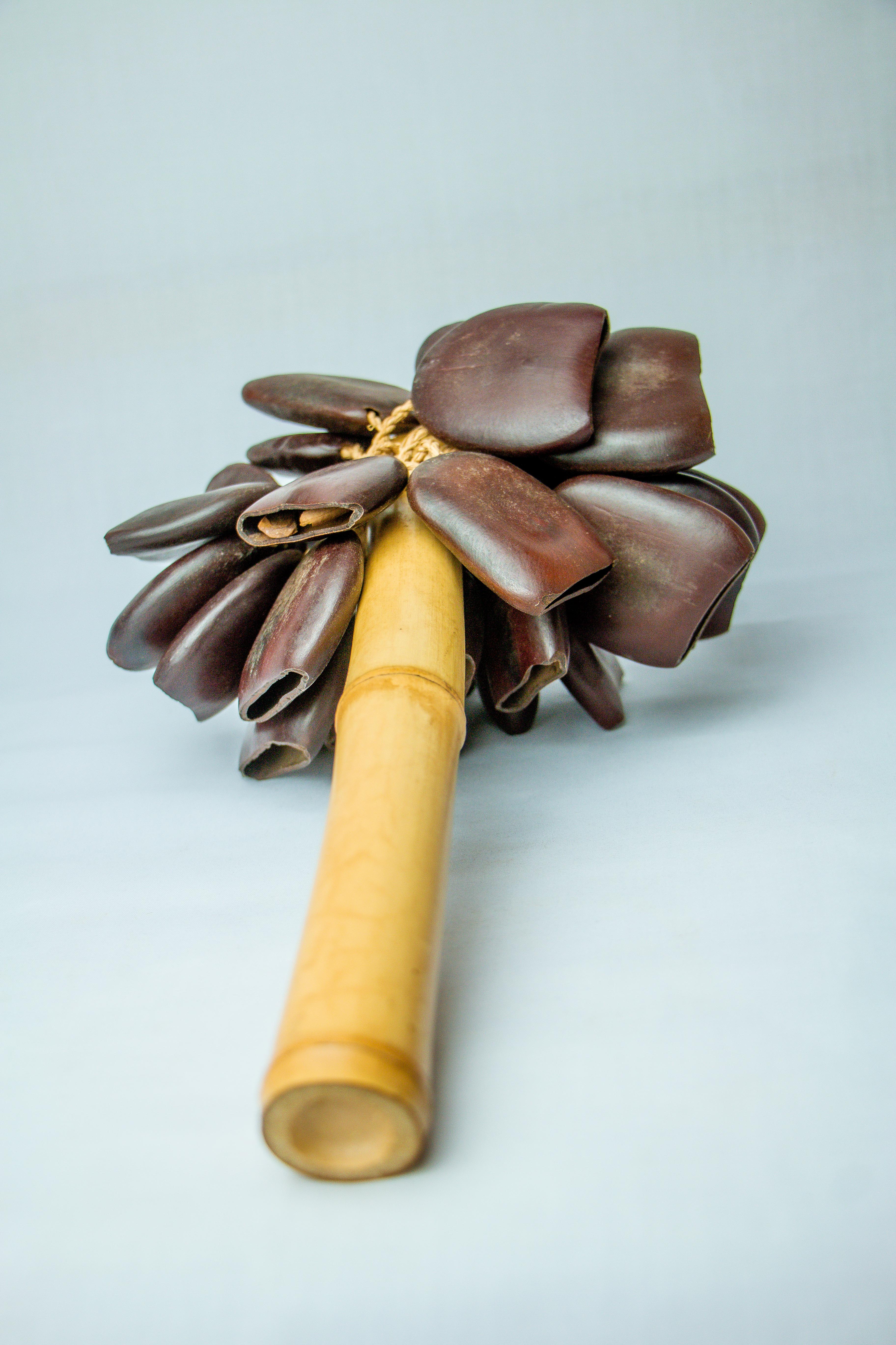 Lucky seed shaker instrument
