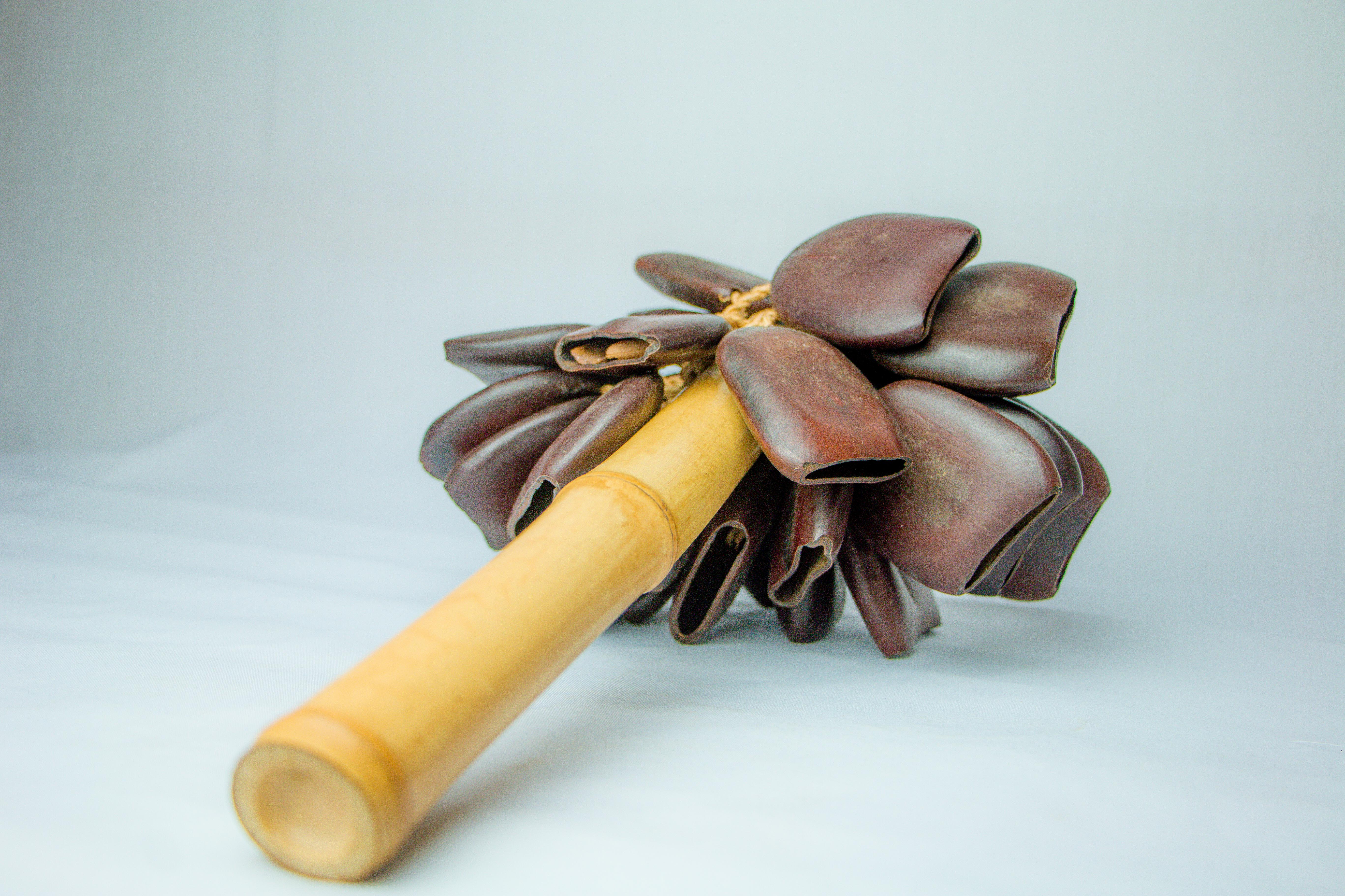 Lucky seed shaker instrument